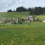 Wandern in Schwärzenbach bei Titisee Neustadt