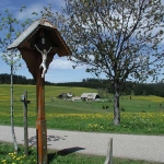 Blick auf Hochebene in Schwärzenbach Hoschschwarzwald